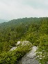 Rim View